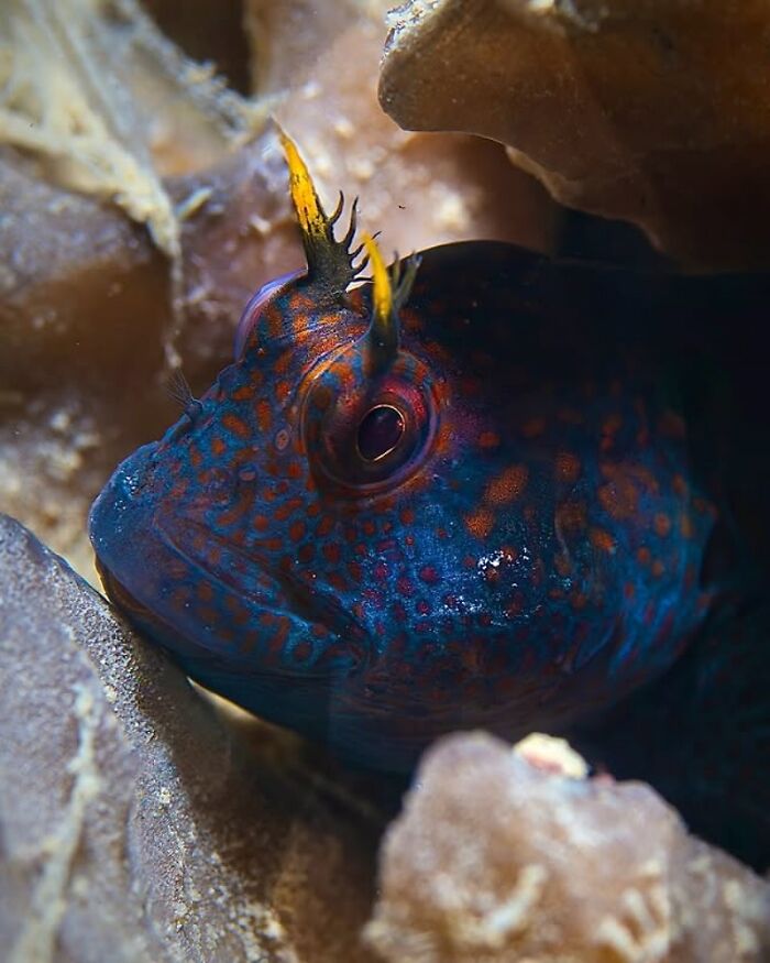 57 Mind-Blowing Photos That Show The Ocean’s Crazy Cool Side