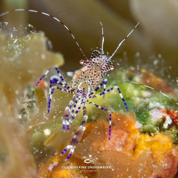 57 Mind-Blowing Photos That Show The Ocean’s Crazy Cool Side