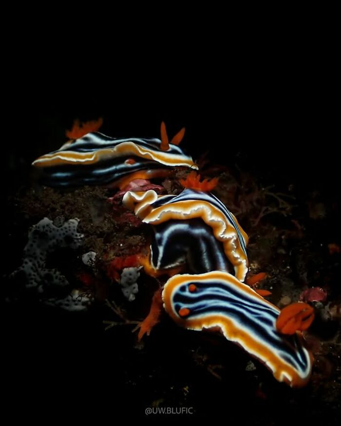 57 Mind-Blowing Photos That Show The Ocean’s Crazy Cool Side
