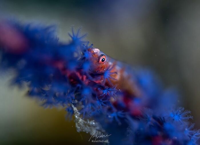 57 Mind-Blowing Photos That Show The Ocean’s Crazy Cool Side