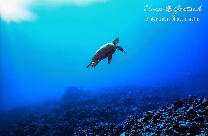 57 Mind-Blowing Photos That Show The Ocean’s Crazy Cool Side