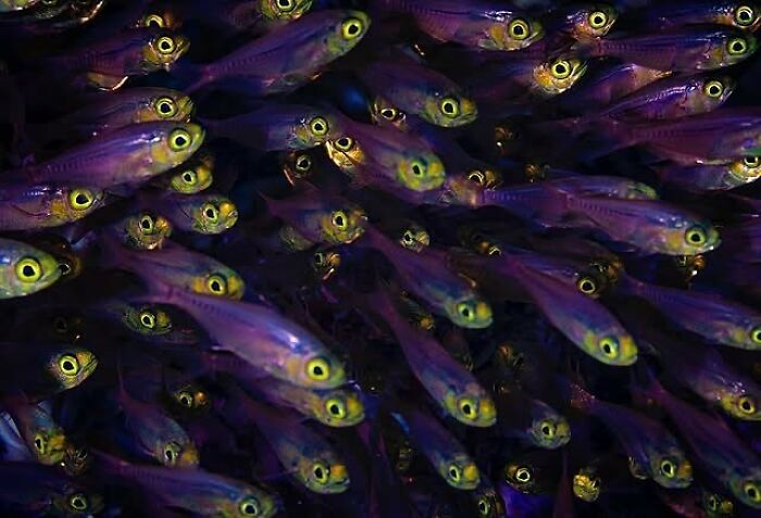 57 Mind-Blowing Photos That Show The Ocean’s Crazy Cool Side