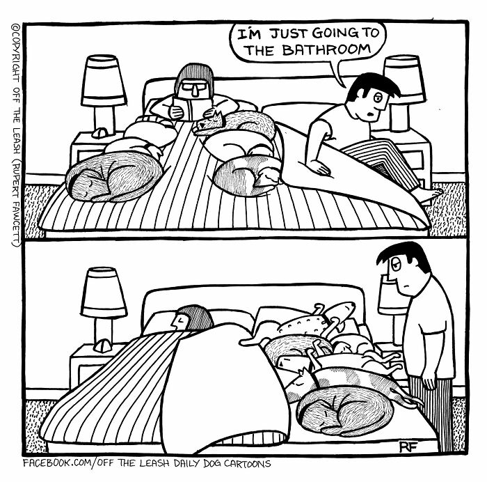 33 Hilarious Dog Comics That Get What Our Pups Are Really Thinking