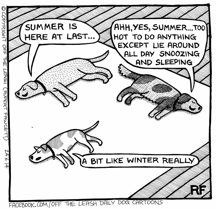 33 Hilarious Dog Comics That Get What Our Pups Are Really Thinking