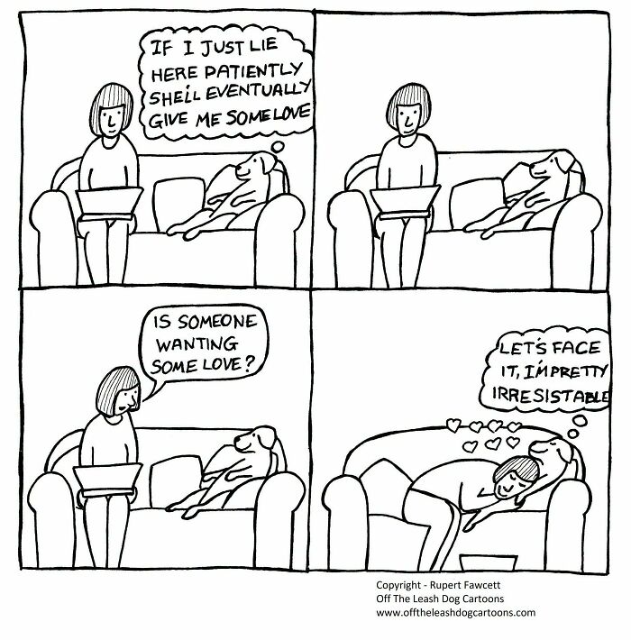 33 Hilarious Dog Comics That Get What Our Pups Are Really Thinking