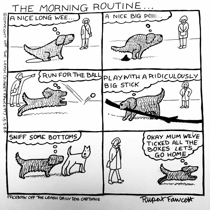 33 Hilarious Dog Comics That Get What Our Pups Are Really Thinking