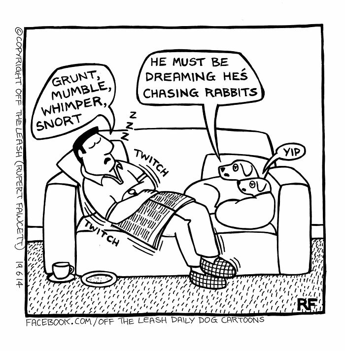 33 Hilarious Dog Comics That Get What Our Pups Are Really Thinking