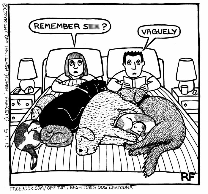 33 Hilarious Dog Comics That Get What Our Pups Are Really Thinking