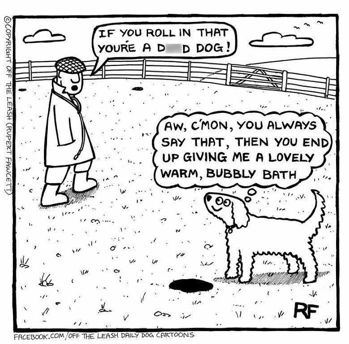 33 Hilarious Dog Comics That Get What Our Pups Are Really Thinking
