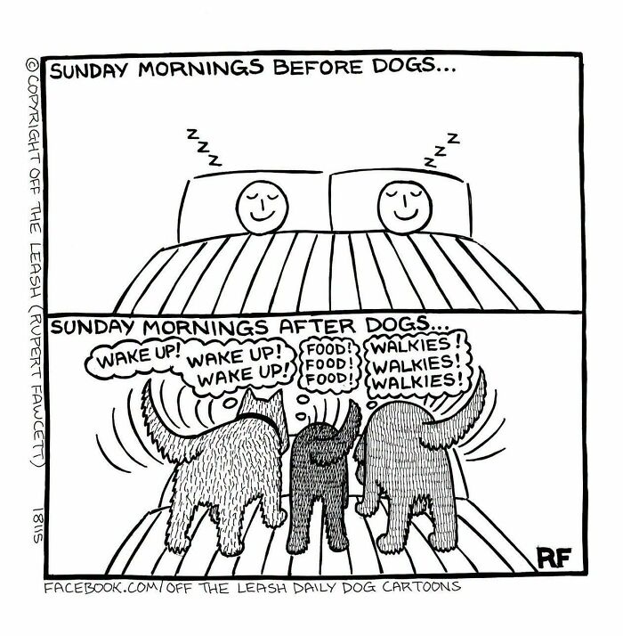 33 Hilarious Dog Comics That Get What Our Pups Are Really Thinking