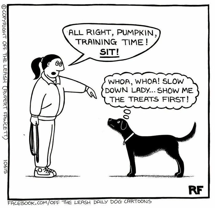 33 Hilarious Dog Comics That Get What Our Pups Are Really Thinking