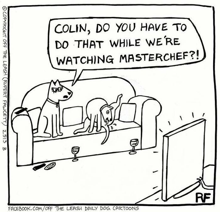33 Hilarious Dog Comics That Get What Our Pups Are Really Thinking