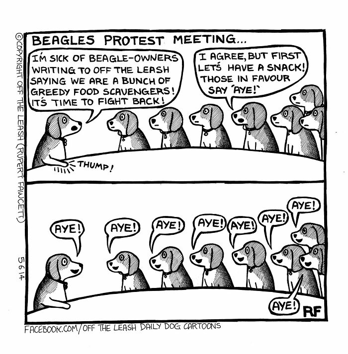 33 Hilarious Dog Comics That Get What Our Pups Are Really Thinking