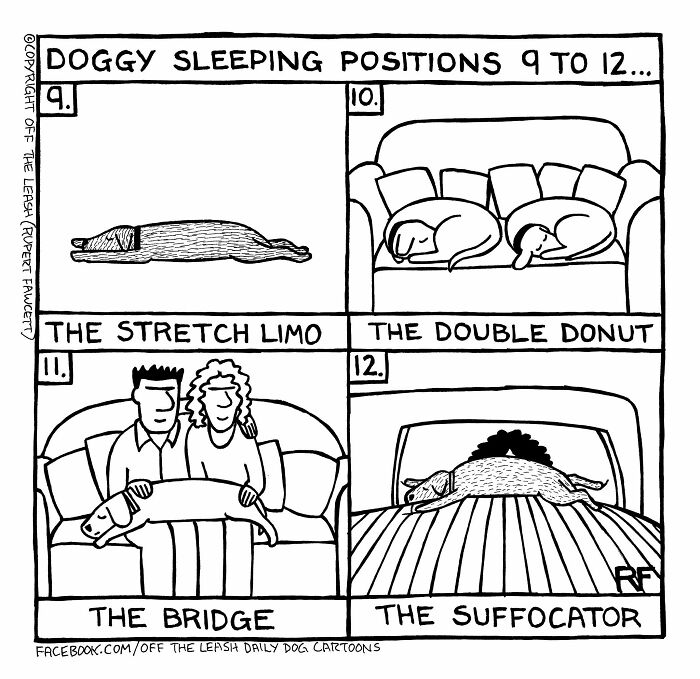 33 Hilarious Dog Comics That Get What Our Pups Are Really Thinking