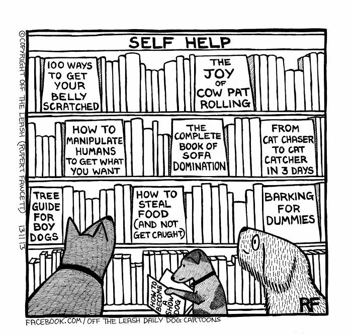 33 Hilarious Dog Comics That Get What Our Pups Are Really Thinking
