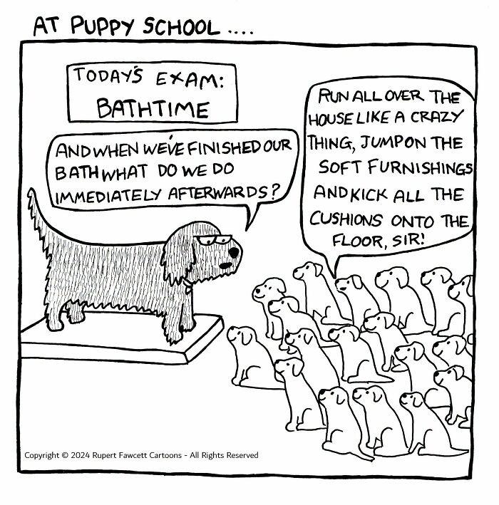 33 Hilarious Dog Comics That Get What Our Pups Are Really Thinking