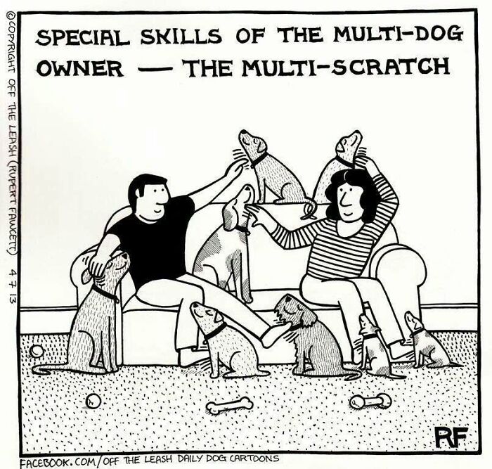 33 Hilarious Dog Comics That Get What Our Pups Are Really Thinking