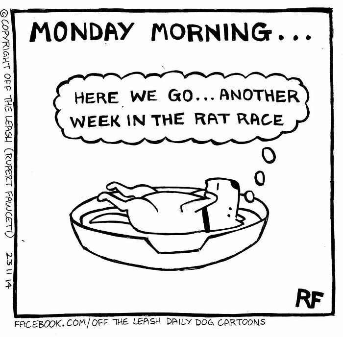 33 Hilarious Dog Comics That Get What Our Pups Are Really Thinking