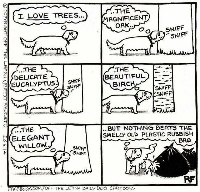 33 Hilarious Dog Comics That Get What Our Pups Are Really Thinking