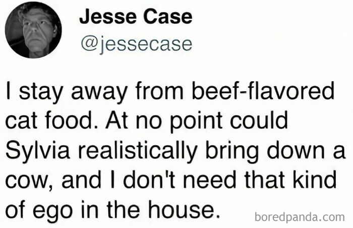 75 Memes That Nail The Madness Of Life Right Now
