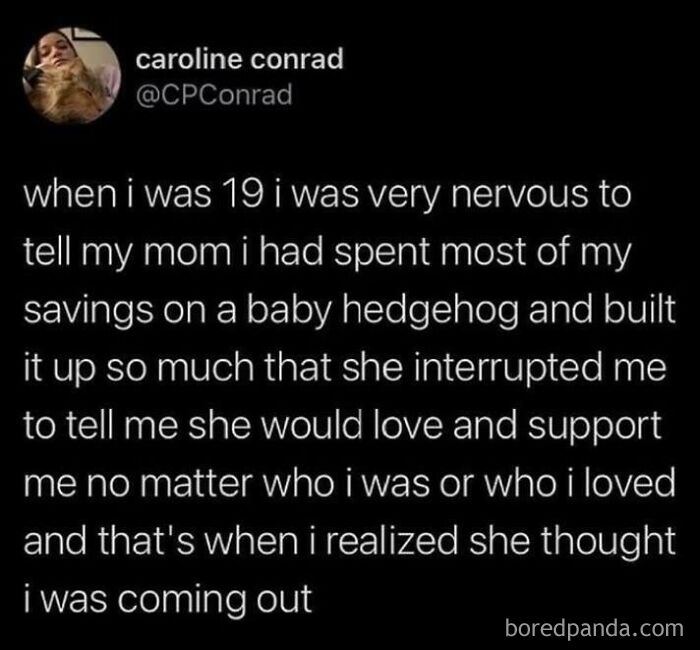 75 Memes That Nail The Madness Of Life Right Now