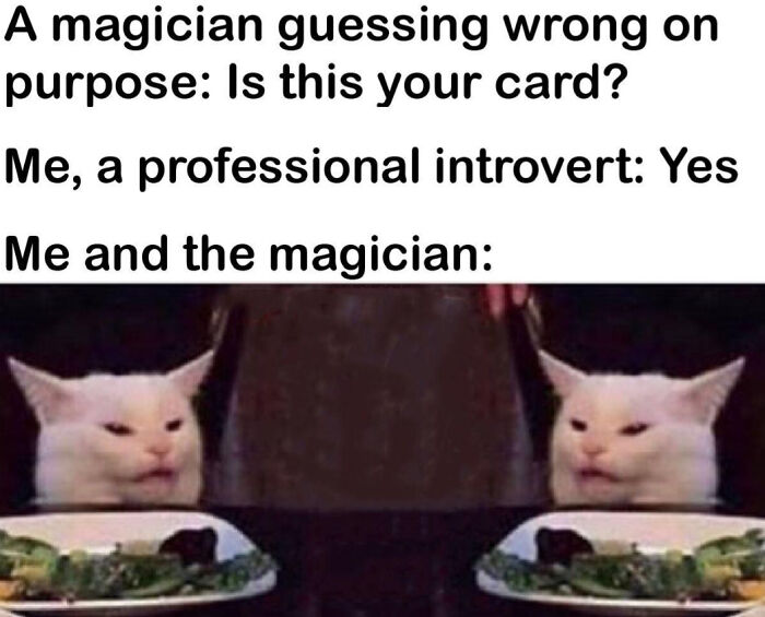 75 Memes That Nail The Madness Of Life Right Now