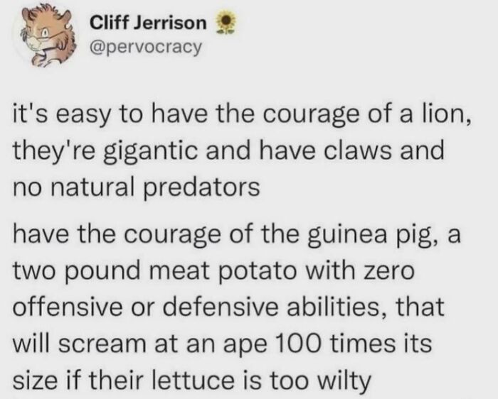 75 Memes That Nail The Madness Of Life Right Now