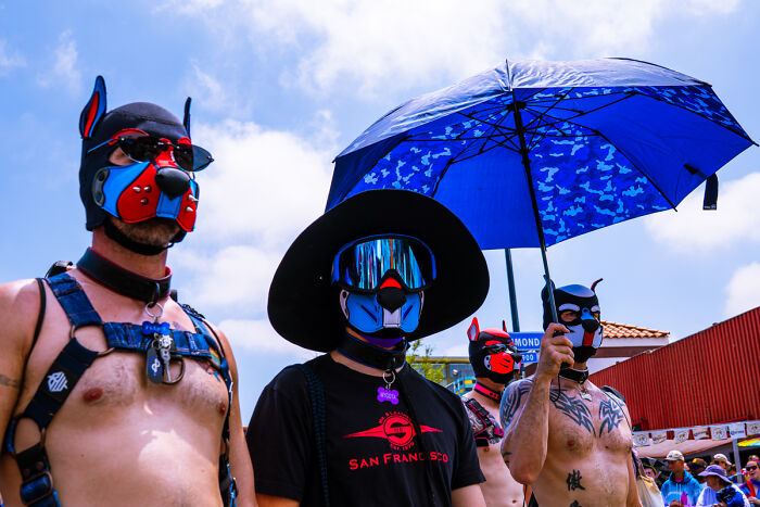 Pup Power At Pride By Alvaro Diaz