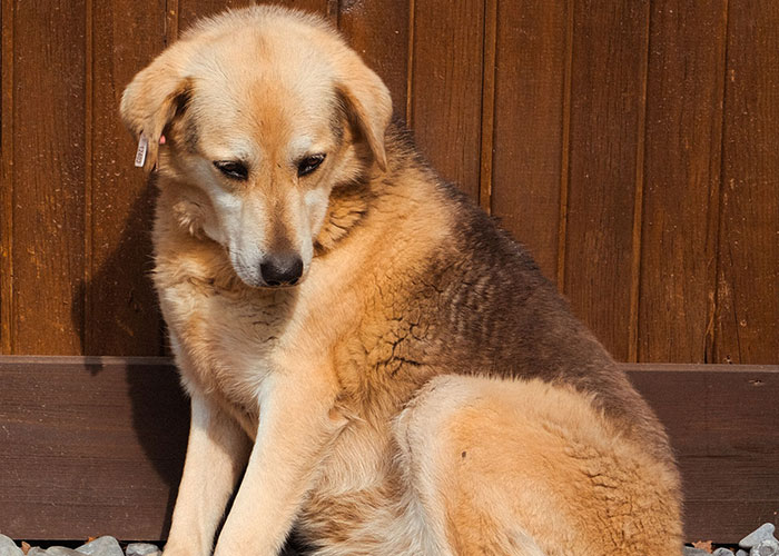 58 People’s ‘Final Straw’ Moments That Made Them Ghost Their Parents Forever