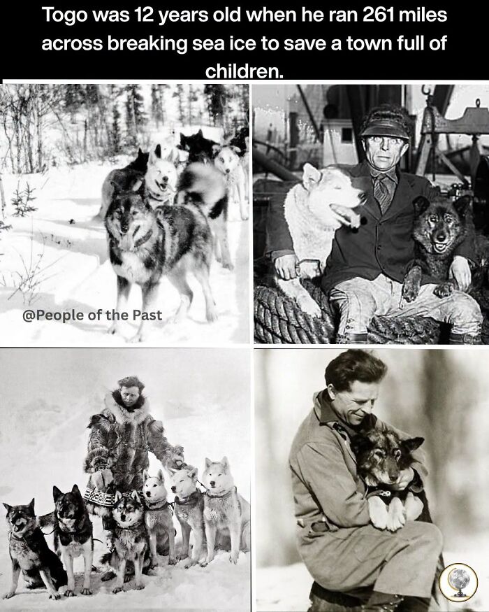 33 Wild History Stories You’ll Want To Tell Everyone