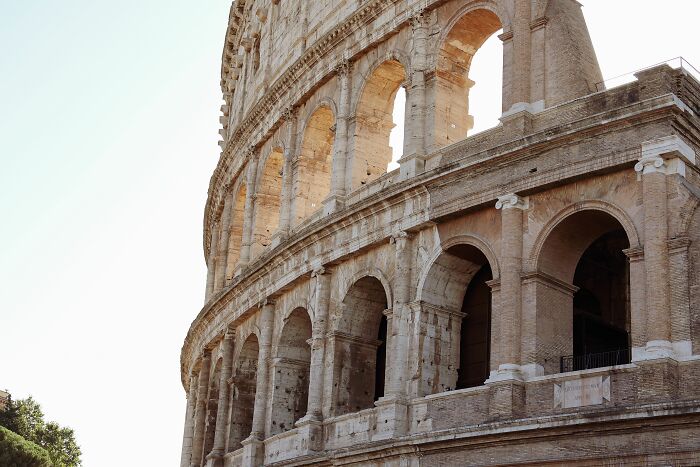 The 79 Wildly Fun Facts That’ll Make Your Brain Do a Happy Dance