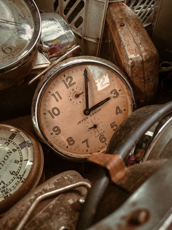 The 79 Wildly Fun Facts That’ll Make Your Brain Do a Happy Dance