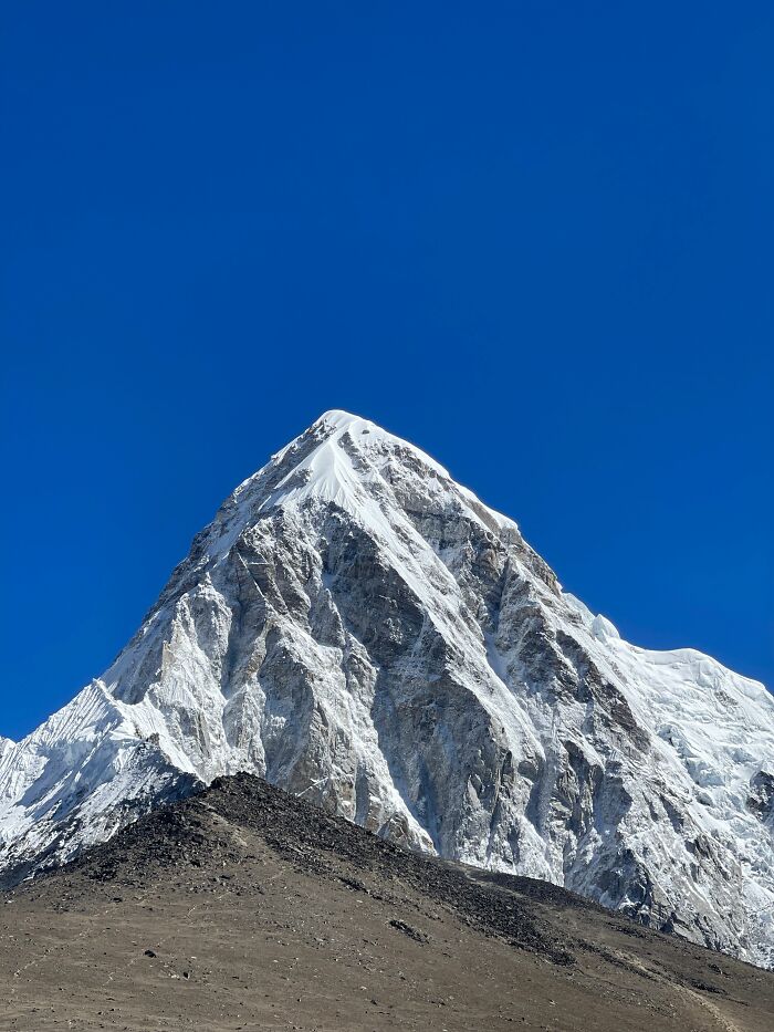 The 79 Wildly Fun Facts That’ll Make Your Brain Do a Happy Dance
