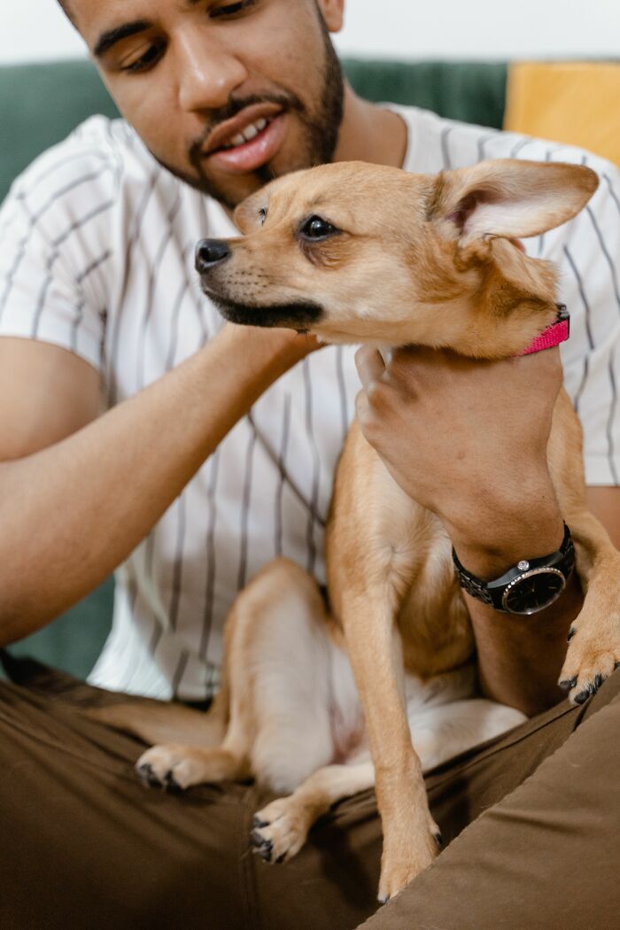 The 79 Wildly Fun Facts That’ll Make Your Brain Do a Happy Dance