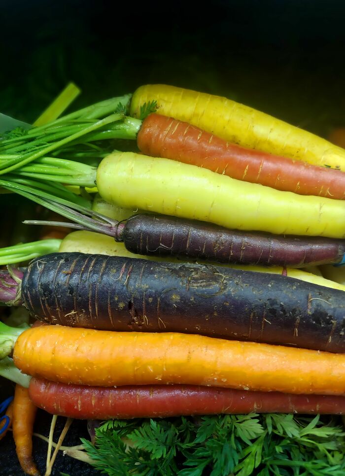 The 79 Wildly Fun Facts That’ll Make Your Brain Do a Happy Dance