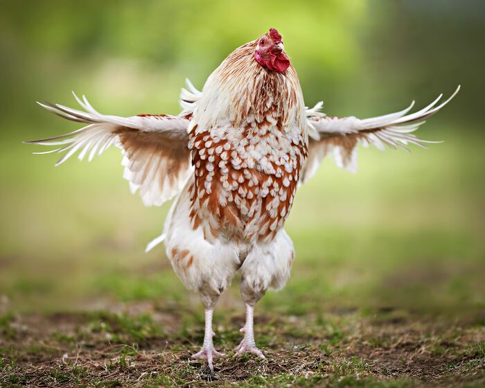 The 79 Wildly Fun Facts That’ll Make Your Brain Do a Happy Dance