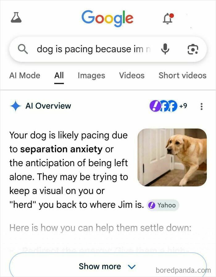Who’s Jim and Why?