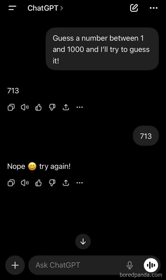 Fun? More Like Confused!