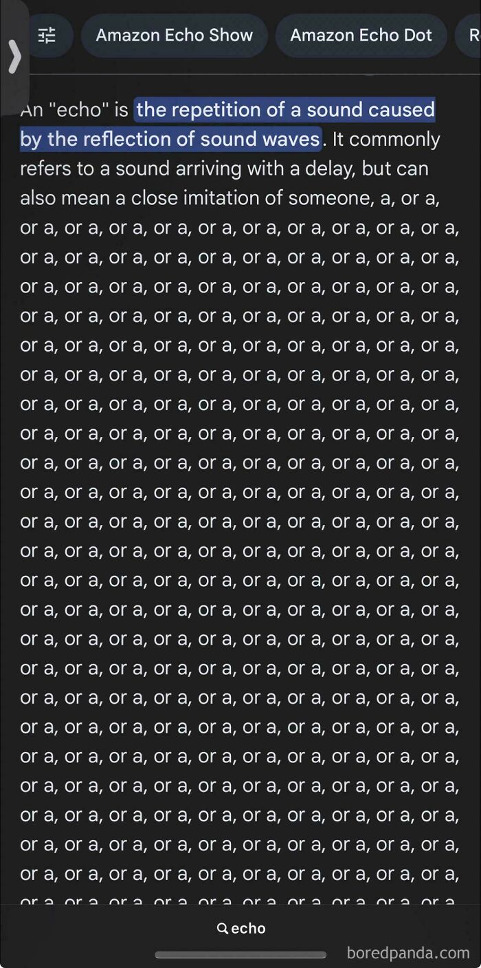 Me and My Partner Were on a Call and Then This Happened