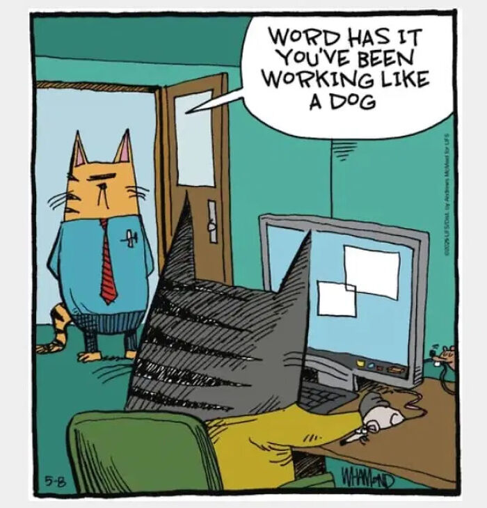 30 Cartoons By Dave Whamond That Make Everyday Life Totally Hilarious