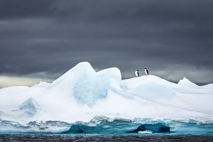 45 Wild Animal Pics That Make You Go Whoa, Nature Is Crazy Cool