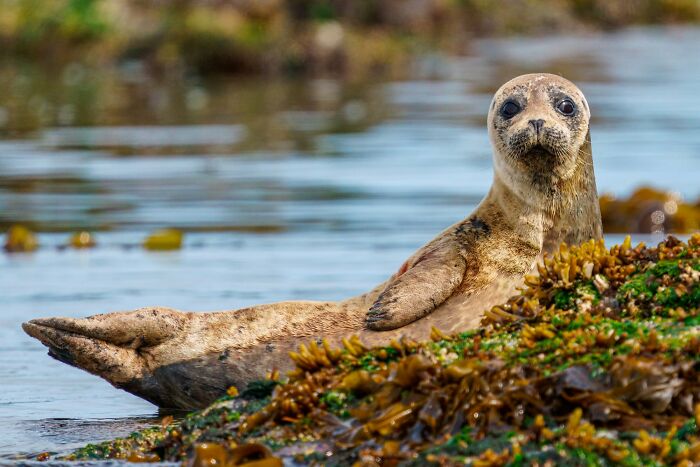 45 Wild Animal Pics That Make You Go Whoa, Nature Is Crazy Cool