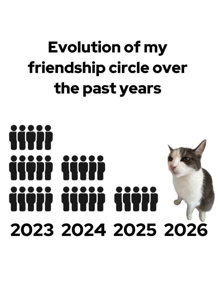 These 3 Cats Are Meme Legends and Here's Why You'll Love 'Em