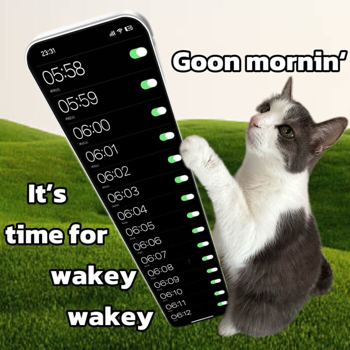These 3 Cats Are Meme Legends and Here's Why You'll Love 'Em