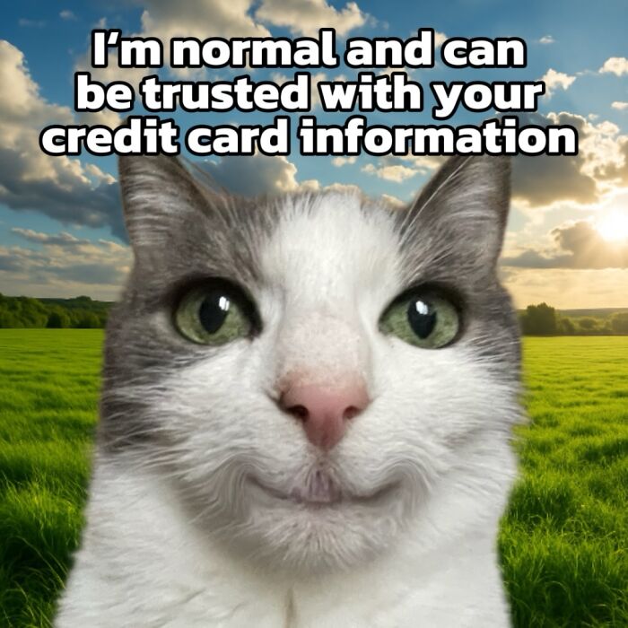 These 3 Cats Are Meme Legends and Here's Why You'll Love 'Em