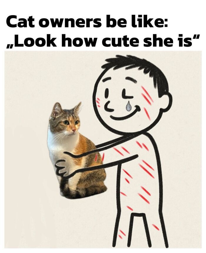 These 3 Cats Are Meme Legends and Here's Why You'll Love 'Em
