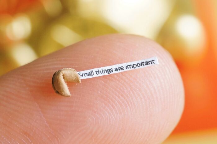 Wait Till You See These Tiny Paper Masterpieces—They’re Insanely Detailed!