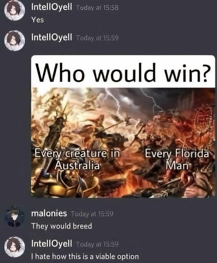Wait, People Actually Said This in Internet Comments?!