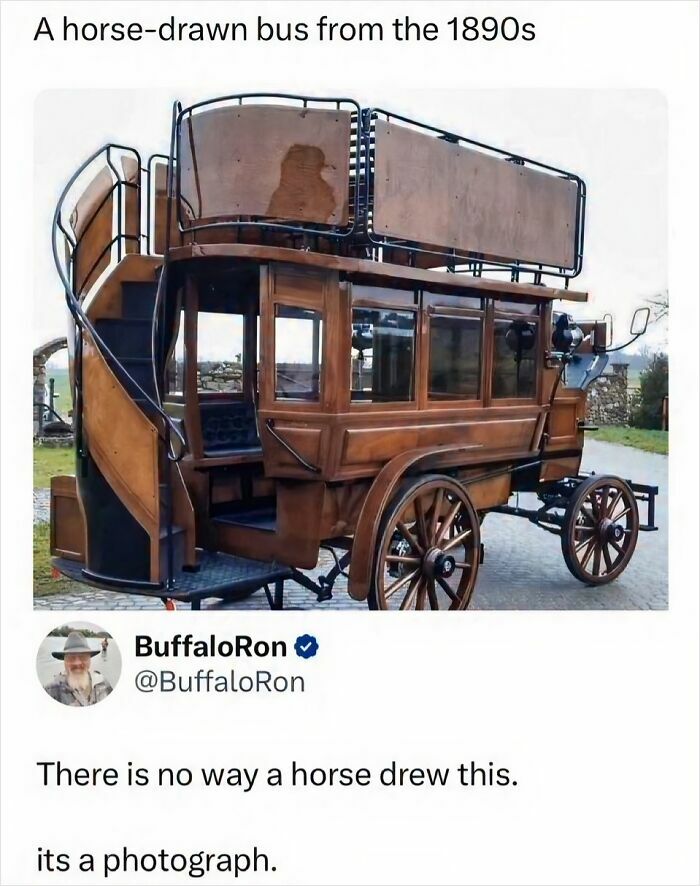 Wait, People Actually Said This in Internet Comments?!