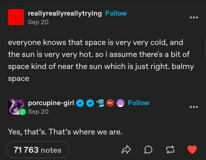 Wait, People Actually Said This in Internet Comments?!
